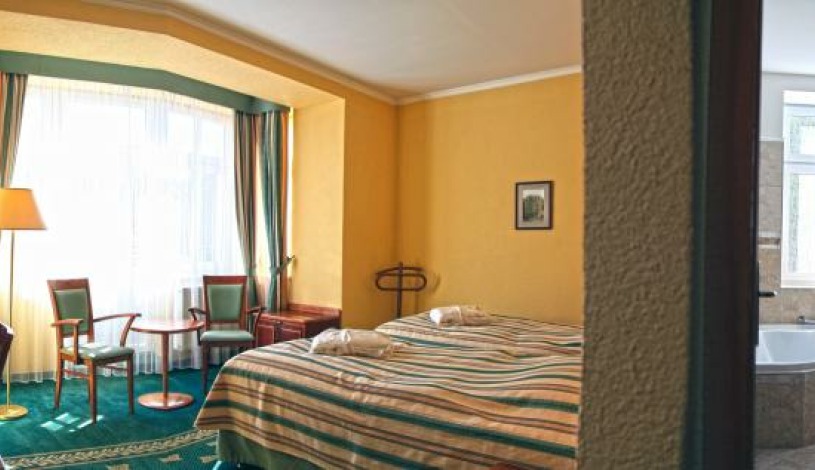 Wellness & Spa hotel Richard Mariánské Lázně - Jednolůžkový pokoj, Dvoulůžkový pokoj